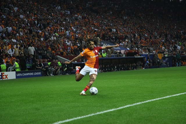 仅仅换取一 仅仅换取一