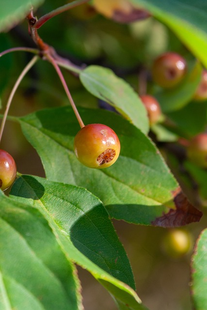 名誉和信任 名誉和信任