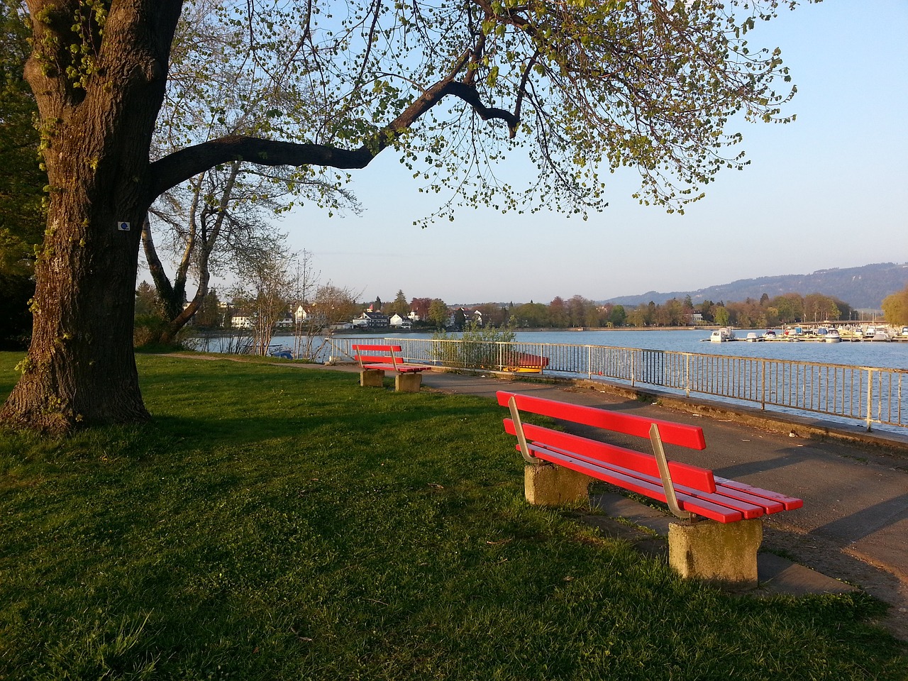 阿根廷接下 阿根廷接下