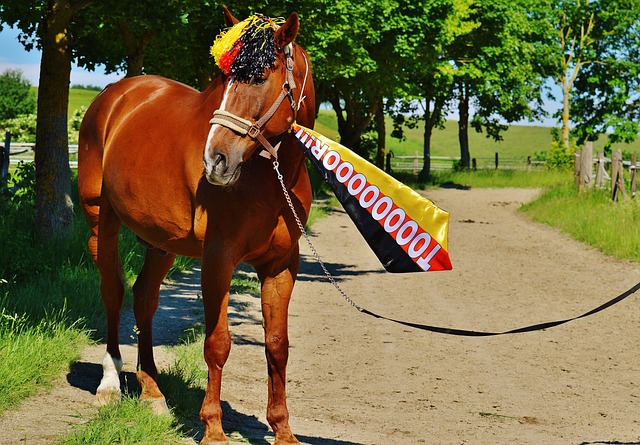 为有效的射 为有效的射