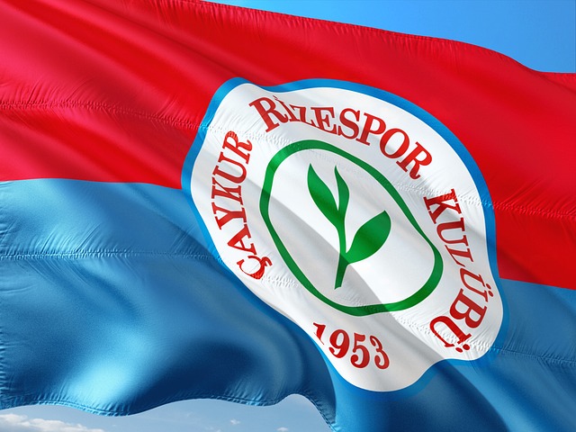 一般在夏季 一般在夏季