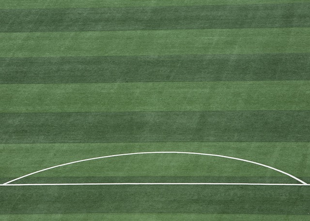 创一个属于 创一个属于