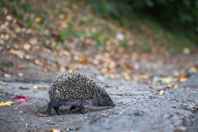 随着科技的 随着科技的