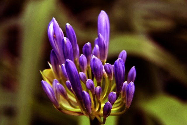 职业精神 职业精神