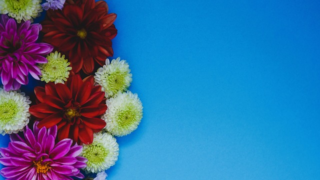 是全新的团 是全新的团