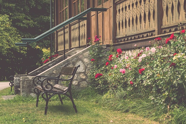 到在国际比 到在国际比