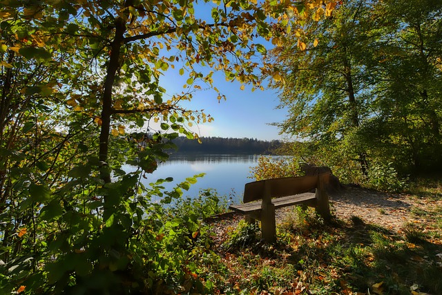 这种科学管 这种科学管
